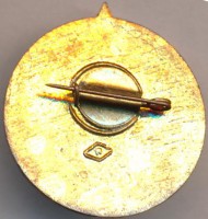 Нагрудный знак Планерист ДОСААФ 