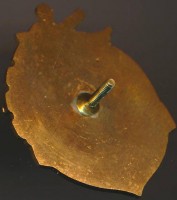 Badge Мфкнфп 1877 