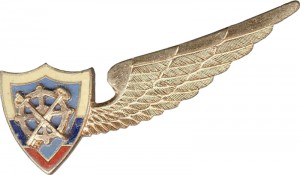Нагрудный знак Административная служба  