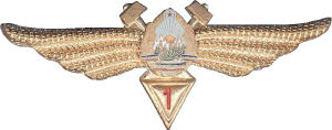 Нагрудный знак Авиатехник 1 класса  