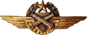 Нагрудный знак Пилот наблюдатель  
