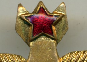 Badge Navigator 1st class 