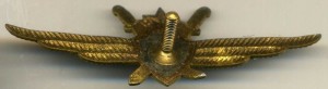 Badge Pilot 1st class 