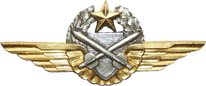 Badge Pilot observer 