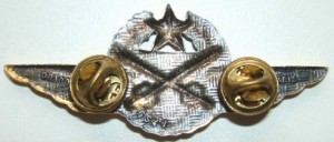 Badge Pilot observer 
