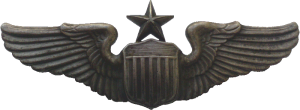 Badge Senior pilot Badge Senior pilot