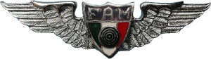 Badge Air gunner 