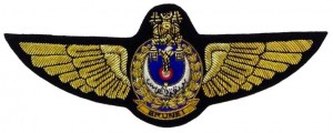 Badge Pilot 