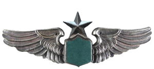 Нагрудный знак Старший пилот  