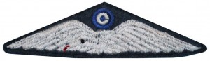 Нагрудный знак Пилот 