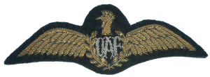 Нагрудный знак Летчик  