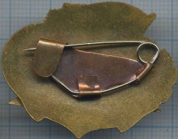 Badge  