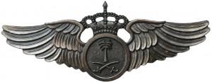 Badge Pilot 