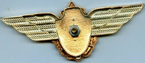 Нагрудный знак Штурман снайпер 