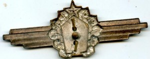 Нагрудный знак Специалист 3 класса 