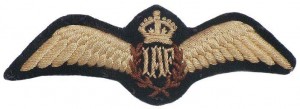 Нагрудный знак Летчик  