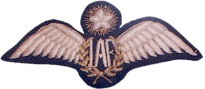 Нагрудный знак Летчик  