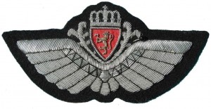 Badge Pilot 