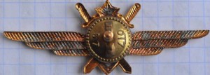 Badge Pilot 2nd class 