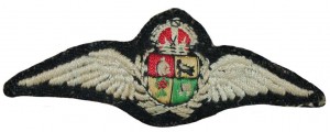 Нагрудный знак Пилот 