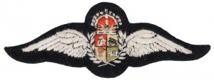 Нагрудный знак Летчик  