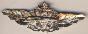 Нагрудный знак Специалист 2 класса дунайской флотилии 
