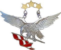 Badge Pilot 