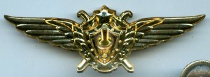 Нагрудный знак Летчик 1 класса 