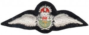 Нагрудный знак Пилот 