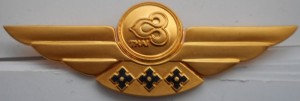 Badge Thai Airways Cabin Crew 