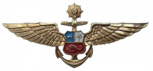 Нагрудный знак Летчик  