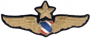 Badge Senior pilot 