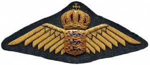 Badge Pilot 