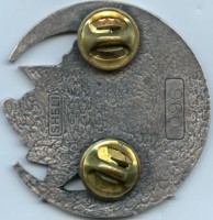 Нагрудный знак Косово 