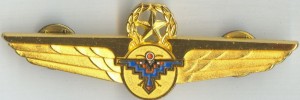 Нагрудный знак Grand Canyon Airlines 