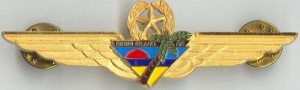 Нагрудный знак Bimini Island Air US Defunct Airlines 