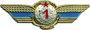 Нагрудный знак 1 класс 