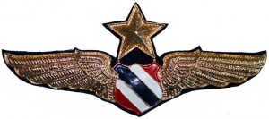 Badge Senior pilot 