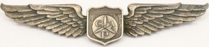 Badge Pilot Corp Patrol Pilot 