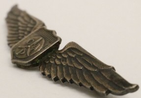 Badge Pilot Corp Patrol Pilot 
