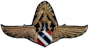 Нагрудный знак Мастер пилот  