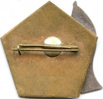 Нагрудный знак Крейсер 
