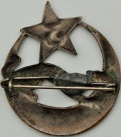 Нагрудный знак 3ий кавалерийский полк алжирцев 