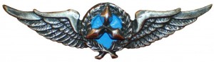 Нагрудный знак Летчик  