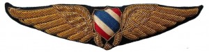Нагрудный знак Пилот  