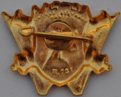 Нагрудный знак 482 группа артиллерии  ПВО 