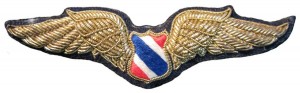 Badge Pilot 
