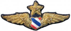 Нагрудный знак Старший пилот  