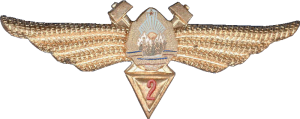 Badge Technician 2nd class 