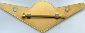 Badge Steward 
